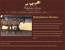 Tablet Screenshot of boleybawnhorses.com